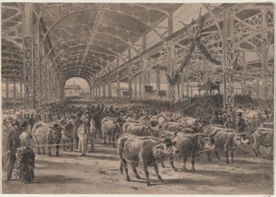 Ringkuhkampfarena und Markthalle Goler